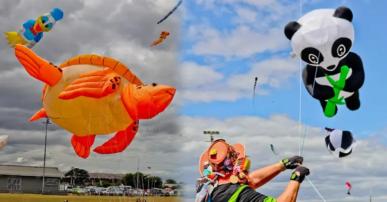 আন্তর্জাতিক ঘুড়ি উৎসবে নানা রকমের ঘুড়ি